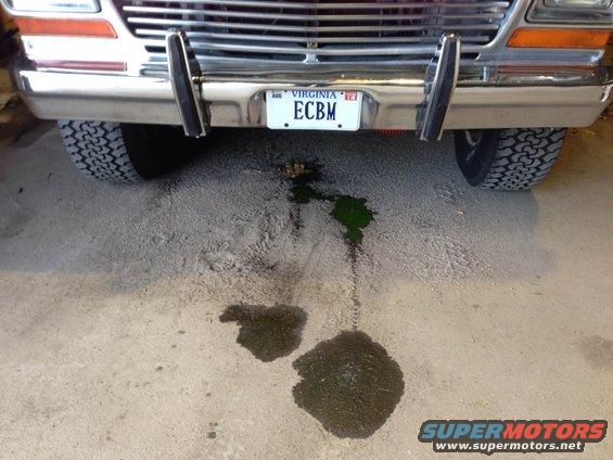 1979 Ford Bronco front end with a Virginia license plate and green fluid leak
