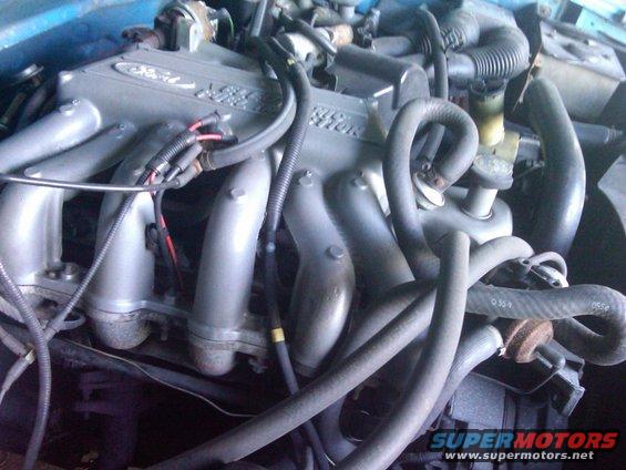 Close-up of a Ford engine with silver intake manifold and various hoses