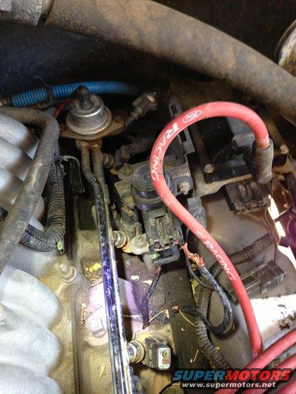 Close-up of engine bay with red spark plug wires and fuel pressure regulator