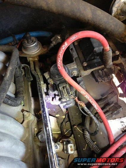 Close-up of engine compartment showing red spark plug wires with 'Ford Racing' text, fuel pressure regulator, and wiring