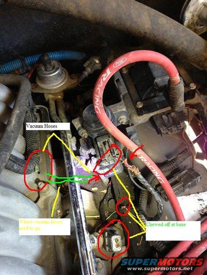 Engine bay showing vacuum hoses, some chewed off at the base, with markings indicating where they need to go