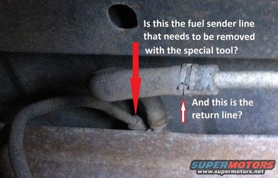 Close-up of vehicle fuel lines with text asking about sender line removal and return line identification