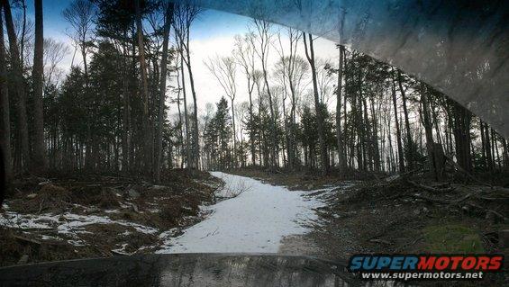 Snowy forest road with trees and debris