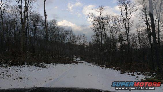Dashboard view of snowy road in forest