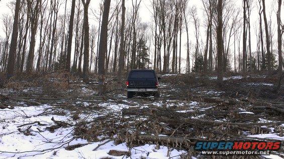 Dark 1995 Ford Bronco rear view in snowy woods