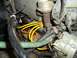 1990 Ford Bronco - Close-up view of engine components, including spark plug wires and distributor cap.