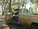 1987 Ford Bronco - back in the day just got my license and finished getting my old chevy road ready