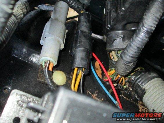 the black wire has been chewed almost all the way through. dont know what connector this is