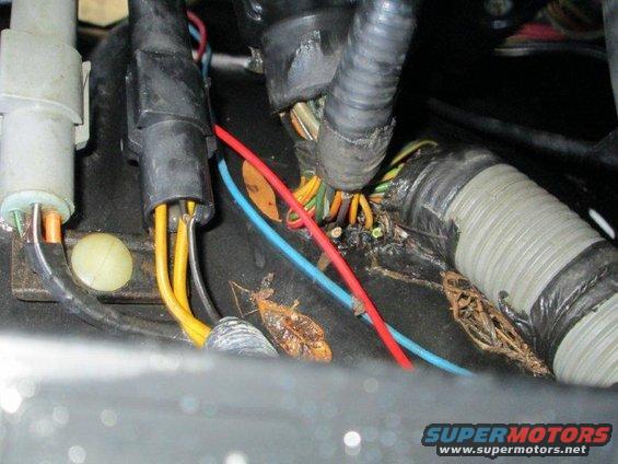 see broken wires on thick harness on right hand side
