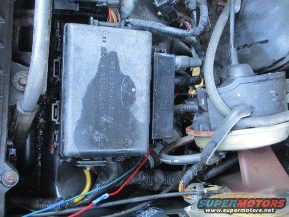 general area behind fue box