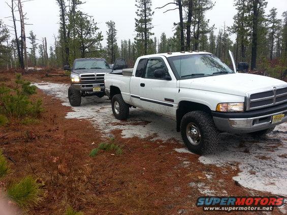 White pickup truck with door open, parked on a dirt road next to a dark pickup truck in a forest