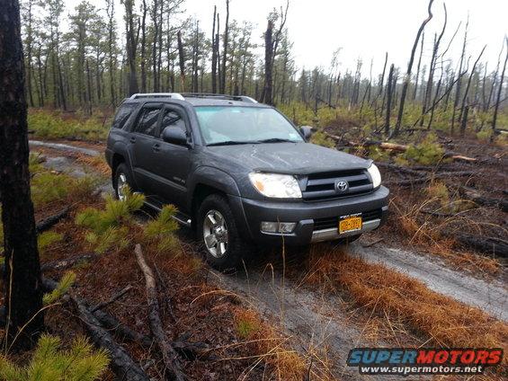 dark gray Toyota 4Runner SUV on a dirt road in a forest with burnt trees