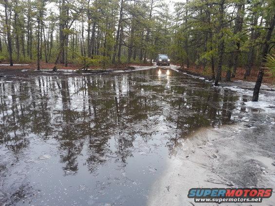 SUV drives through a flooded forest road with trees reflected in the water