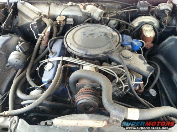 Engine bay with air cleaner and hoses visible