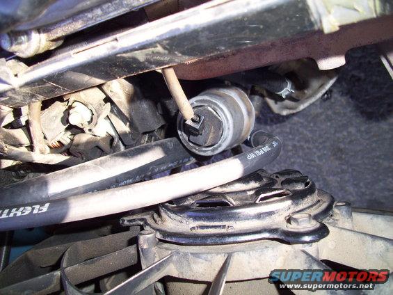 Close-up of a fuel filter and hoses in an engine bay