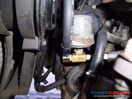 Close-up of a fuel filter with hoses and brass fittings attached to an engine