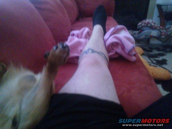 Person's leg with a tattoo and a dog lying on a red couch