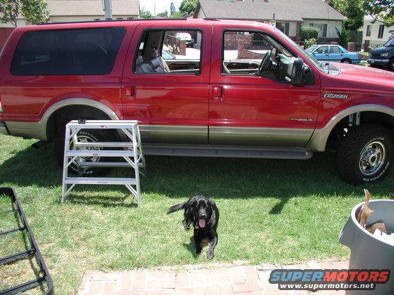 rack5.jpg Getting help from my personal assistant! Ha!