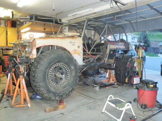 1961 International Scout 800 modified with roll cage and large tires, on jack stands in a garage
