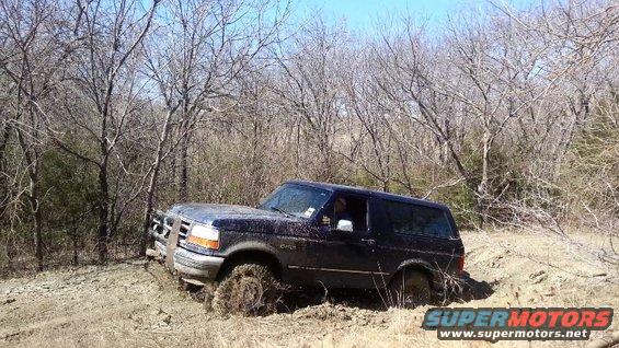Dark blue Ford Bronco stuck in mud on a wooded trail