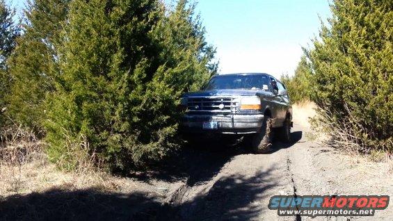 Dark SUV driving on a dirt road, trees on either side. Front grille and headlights visible