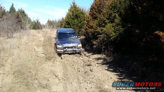 Blue 1995 Ford Bronco stuck in mud on a wooded trail