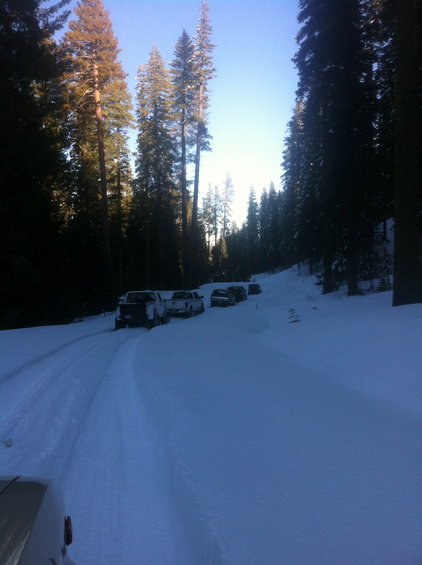 Line of trucks and SUVs parked on a snow-covered road in a forest
