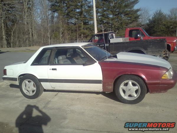 White and maroon Ford Mustang coupe with a white hood, parked next to a red pickup truck