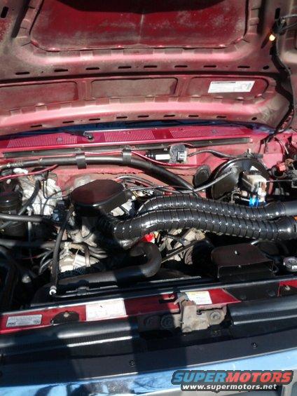 img_20130313_165858.jpg After cleaning and cold air intake