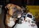 1989 Ford Bronco - Cash inspecting