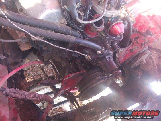 Engine bay detail showing distributor, hoses, and pulleys