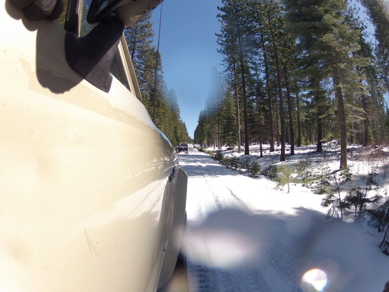 Tan SUV side view on a snow-covered road through a pine forest, with another vehicle ahead