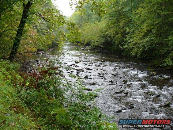 Rocky river flowing through a forest with green trees and foliage