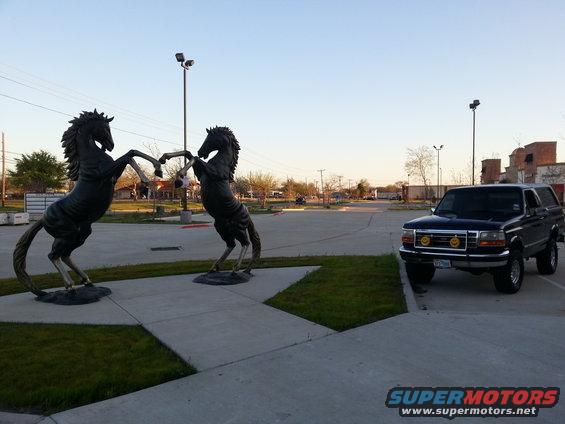 Dark blue Ford Bronco parked on concrete with two horse statues