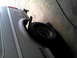 2013-03-03_13-27-45_189.jpg