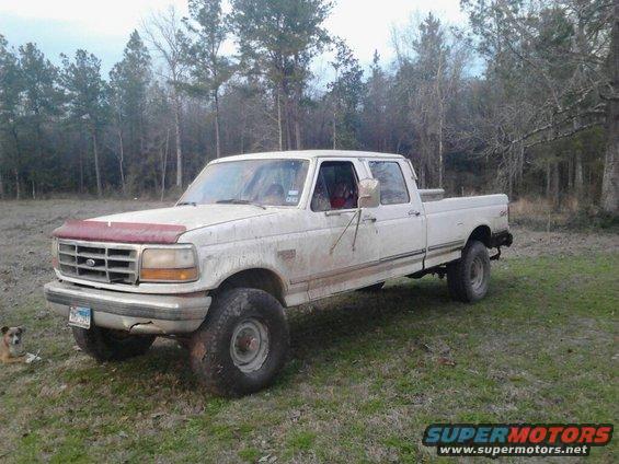 White Ford F-250 pickup truck, muddy, parked on grass with trees in background. A dog sits to the left