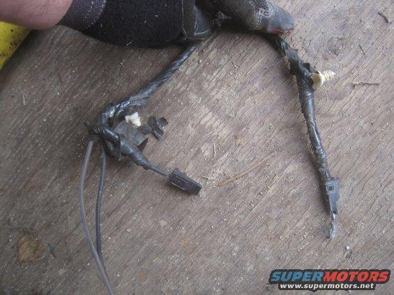 tailgate-harness-(5).jpg These are the defroster connectors