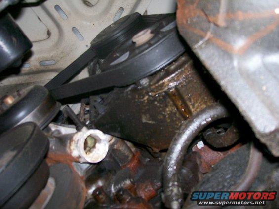 I think the power steering pump has a leak, time for a Saginaw.