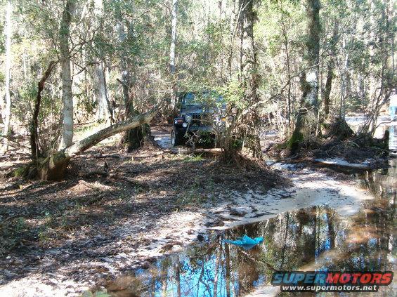 Jeep Wrangler driving through muddy woods with fallen tree