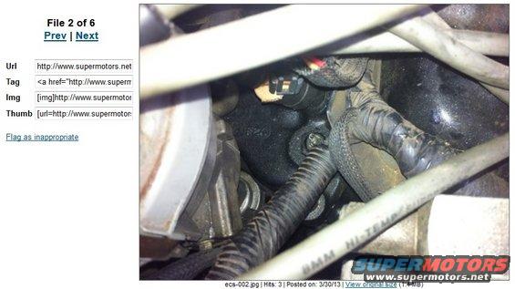 Close-up of engine bay wiring harness and connectors