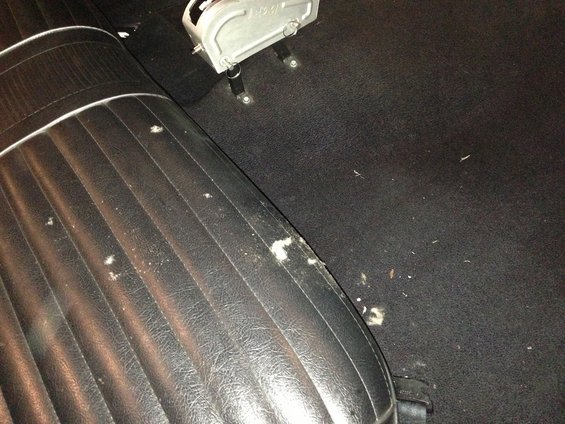 Black vinyl seat with white piping and black carpet with debris. Seatbelt buckle visible