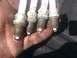 2004 Dodge 1500 - A hand displays four worn Champion spark plugs, showing signs of use and wear.