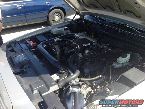 Engine bay with supercharger on 2005 Ford Crown Victoria