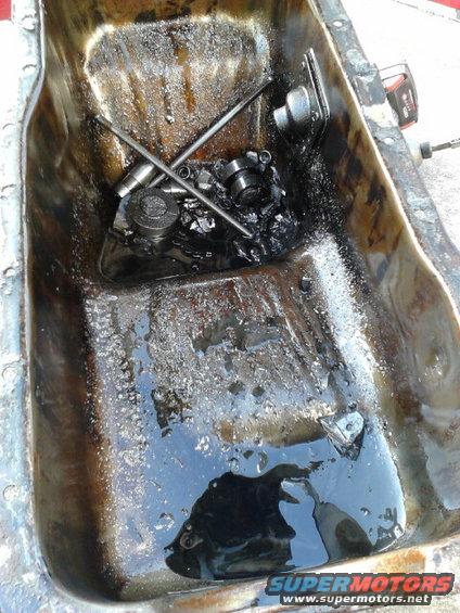 what was In the oil pan