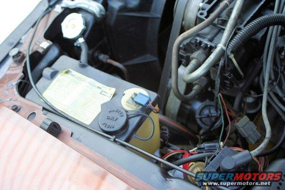 Close-up of a car's engine bay, showing hoses, wires, and fluid reservoirs