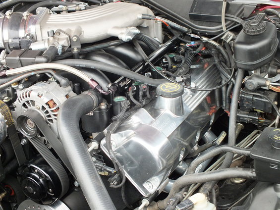 dscf3002.jpg 