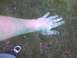 2003 Ford Crown Victoria - A person's arm and hand are covered in green paint, with a shoe visible in the grass.