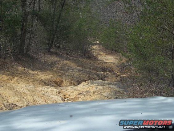 Dirt track winding through trees, with tire tracks visible on the sandy soil. Part of a vehicle's hood is in the foreground