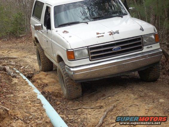 White Ford Bronco with rust spots on hood, driving off-road