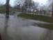 2003 Ford Crown Victoria - A park scene with significant flooding, viewed through a window with raindrops.